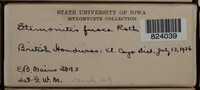 Image Associated With the Occurence